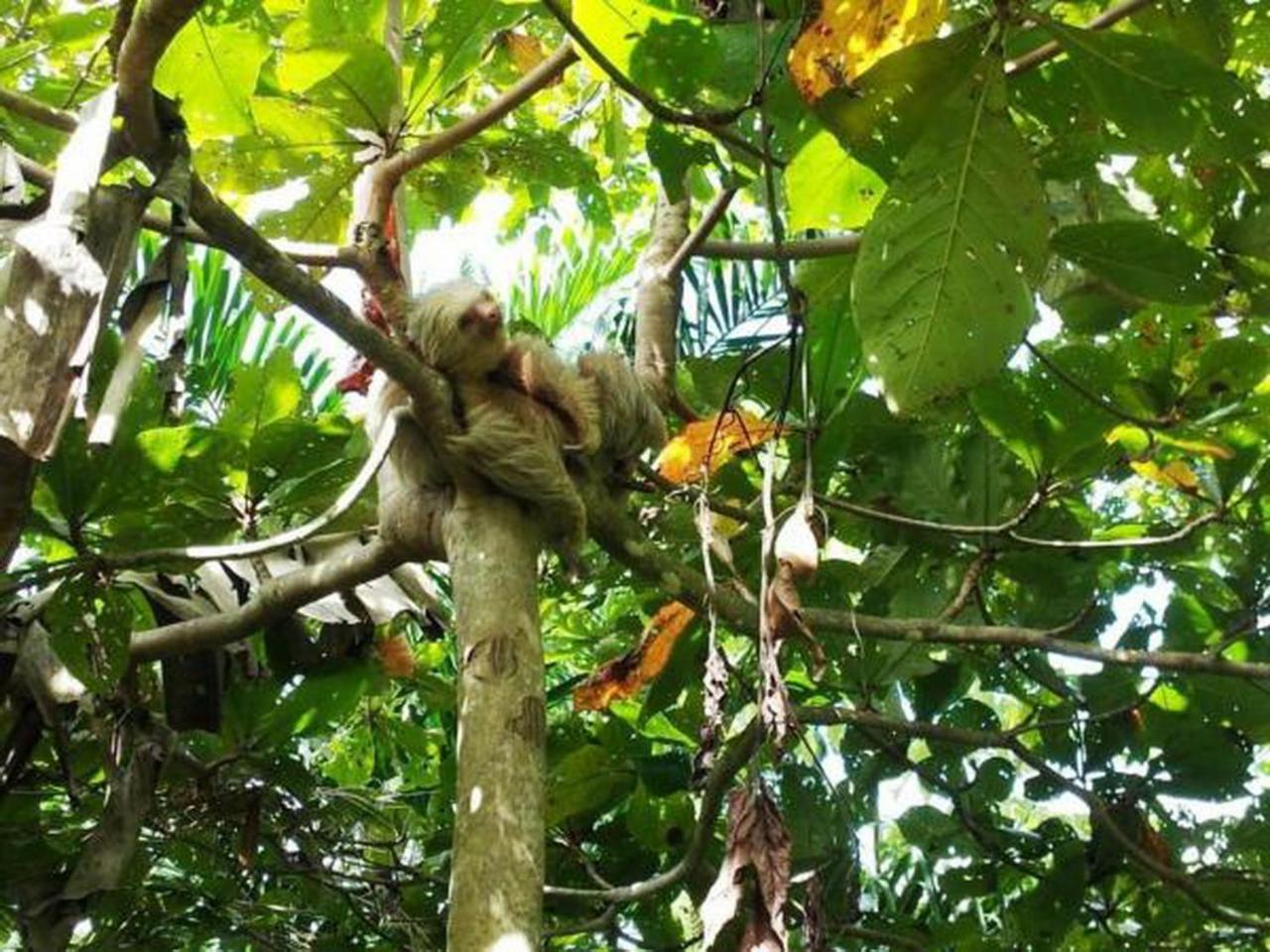 Gaia Hotel & Reserve- Adults Only Manuel Antonio Exterior foto